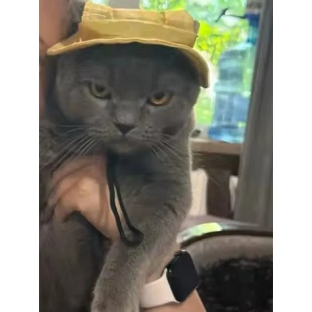 NEW! Pet Sun Hat Breathable UV protection w/ adjustable Chin Strap